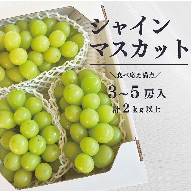 【きよとう】こだわりのシャインマスカット3〜5房（約2kg） マスカット ぶどう ブドウ 葡萄 デザート フルーツ 果物 くだもの 果実 食品 TY0-0810