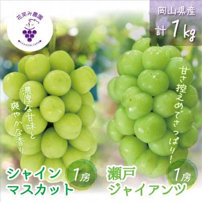 【2026年先行受付】岡山　花笑み農園の『シャインマスカット&瀬戸ジャイアンツ』1kg(2房)GS【配送不可地域：離島・北海道・沖縄県】【1627775】