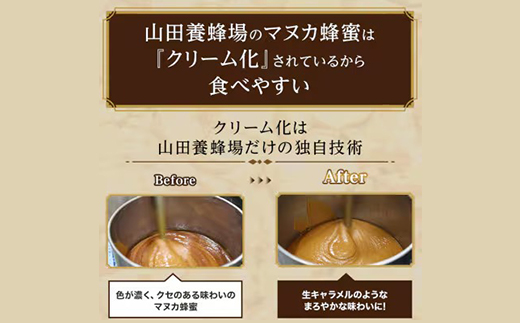 【毎月定期便】マヌカ蜂蜜(クリームタイプ)MG100+(22193)全12回【4008985】