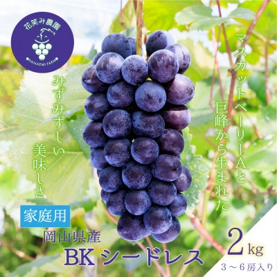 【2026年先行受付】岡山　花笑み農園の『BKシードレス』家庭用　約2kg(3〜6房)　B-2家【配送不可地域：離島・北海道・沖縄県】【1626804】