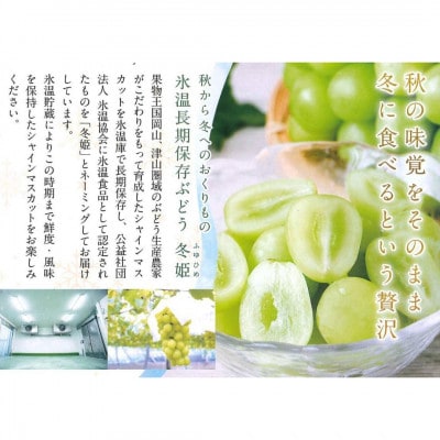 ã11æ-3æçºéãæ°·æž©è²¯èµãã¹ã«ããå¬å§«(1æ¿)ãå®¶åºçšããé
éäžå¯å°åïŒé¢å³¶ãã1569899ã