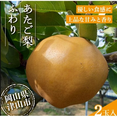 2026年11月下旬より順次発送予定　あたご梨 ふわり(2玉入り)【1619642】