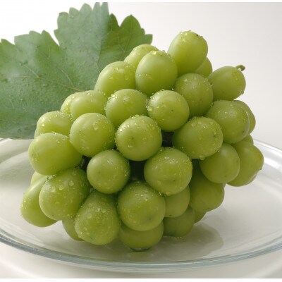 【2026年発送】岡山県産シャインマスカット　1房・約500g(クール便)【配送不可地域：離島】【1614353】