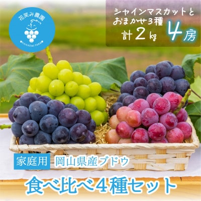 【2026年先行受付】岡山　花笑み農園の『食べ比べ4種』シャイン入り　家庭用　2kg(4房)4M-2【配送不可地域：離島・北海道・沖縄県】【1626793】