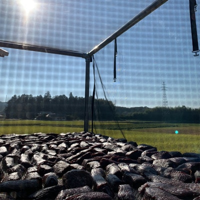 ããªãããŒãã å¹²ãèåã£ã¡ãããŸãã125gÃ4ããã¯ãé£ã¹ãããµã€ãºã接山åç©ãé
éäžå¯å°åïŒé¢å³¶ãã1609009ã