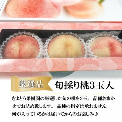 【厳選品】旬の桃(品種おまかせ) 大玉3玉入 (岡山県産) ギフトにおすすめ【配送不可地域：離島】【1571583】