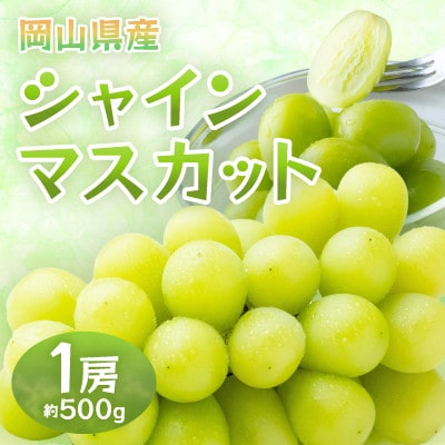 【2026年発送】岡山県産シャインマスカット　1房・約500g(クール便)【配送不可地域：離島】【1614353】