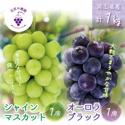 【2026年先行受付】岡山　花笑み農園の『オーロラブラック&シャインマスカット』1kg(2房)AS【配送不可地域：離島・北海道・沖縄県】【1629359】