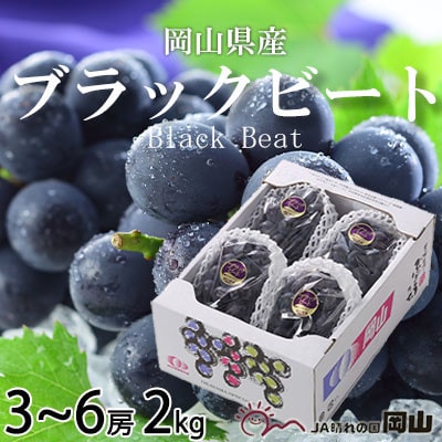 【先行受付】岡山県産　ブラックビート　2kg(3房〜6房)【配送不可地域：離島・北海道・沖縄県】【1400519】