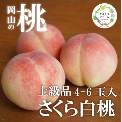 【2026年先行予約】しっかりとした果肉が美味しい「さくら白桃」上級品 4-6玉入(岡山県産)【配送不可地域：離島】【1571605】