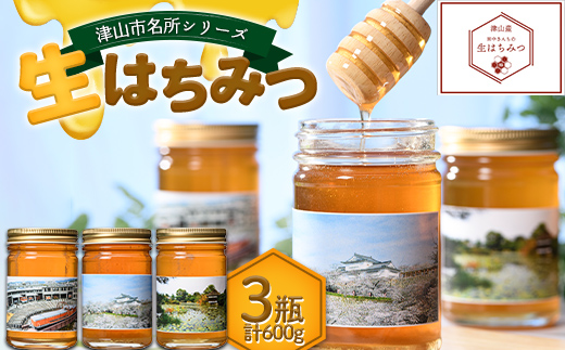 津山市名所シリーズ 生はちみつ200g×3瓶 ハチミツ 蜂蜜 調味料 はちみつ 加工品 食品 TY0-0585