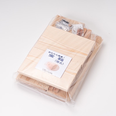 宝箱(特大)組み立てキット【1030623】