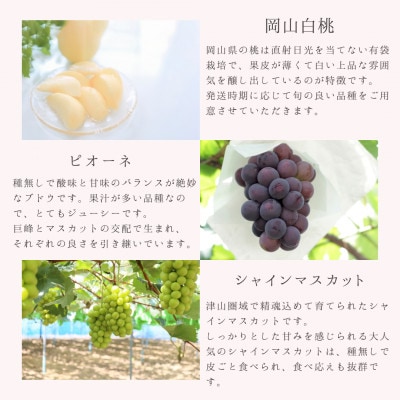 【発送月固定定期便】岡山県産旬のフルーツ定期便　少量セット全3回【配送不可地域：離島・北海道・沖縄県】【4081843】