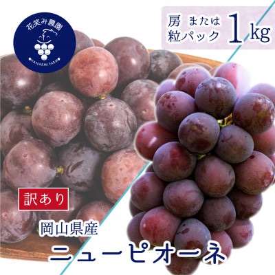 【2026年先行受付】岡山　花笑み農園の 『訳ありニューピオーネ』1kg　WP-1【配送不可地域：離島・北海道・沖縄県】【1628312】