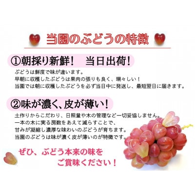 【2026年先行受付】訳あり岡山県産シャインマスカット4kg【配送不可地域：離島】【1571849】