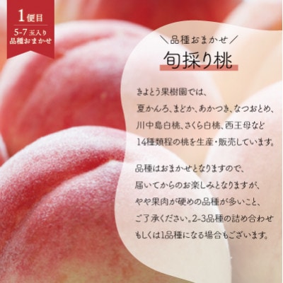 【発送月固定定期便】【2026年先行予約】桃、ピオーネ、シャインマスカット定期便 (岡山県産)全3回【配送不可地域：離島】【4078169】