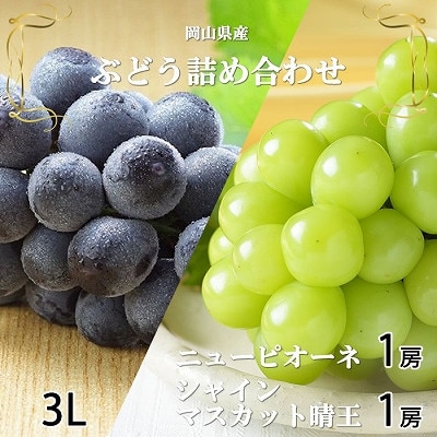 【2026年6月下旬より順次発送】岡山県産シャインマスカット 晴王・ニューピオーネ3Lサイズ詰合せ【配送不可地域：離島・北海道・沖縄県】【1308721】