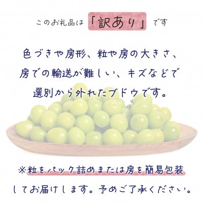 【2026年先行受付】岡山　花笑み農園の『訳ありシャインマスカット』2kg　WS-2【配送不可地域：離島・北海道・沖縄県】【1593500】