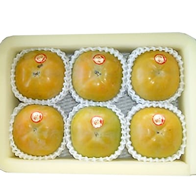 【先行受付】津山産高級大甘柿　太秋大甘柿【配送不可地域：離島】【1035172】