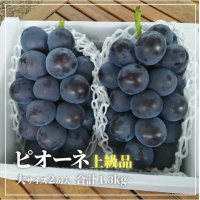 ã2026幎å
è¡äºçŽãèŽ
æ²¢ãªçãã®ããªãŒã äžçŽå 2æ¿/èš1.3kgã ã®ããã«ã (岡山çç£)ãé
éäžå¯å°åïŒé¢å³¶ãã1604053ã