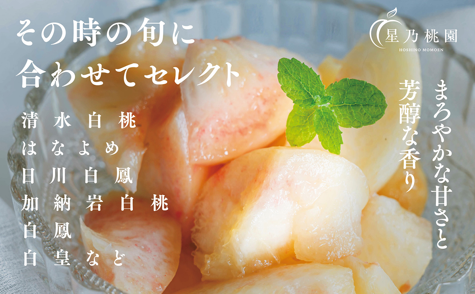 先行受付【星乃白桃】岡山県の桃園からお届けする三つ星の桃 1.2kg (4〜5玉)【配送不可地域：離島・北海道・沖縄県】【1614276】