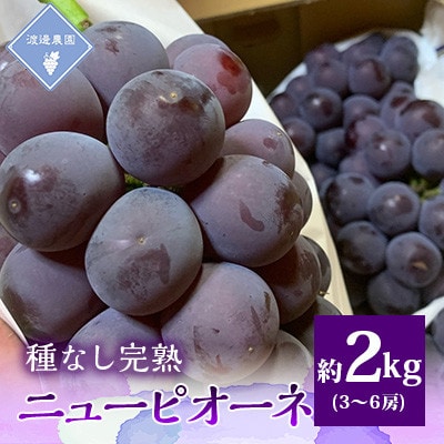 【先行予約 2026年発送】岡山県産　種なし完熟 ニューピオーネ　3房〜6房(合計約2kg)【配送不可地域：離島】【1562279】