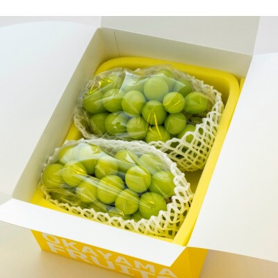 【2026年発送】ご家庭用　岡山県産シャインマスカット(クール便)　約1.2kg(2〜3房)【配送不可地域：離島】【1614316】