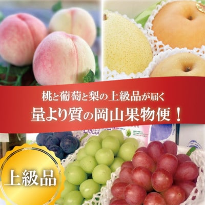 【発送月固定定期便】【2026年先行予約】岡山の桃、ぶどう、梨を産地直送!多品種を楽しむ定期便全3回【配送不可地域：離島・北海道・沖縄県】【4066247】