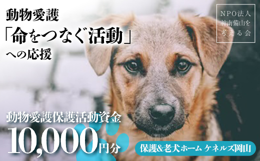 保護＆老犬ホーム ケネルズ岡山 動物愛護「命をつなぐ活動」への応援 TY0-0595