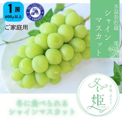 【11月-1月発送】氷温貯蔵マスカット冬姫(1房)【家庭用】【配送不可地域：離島】【1569899】