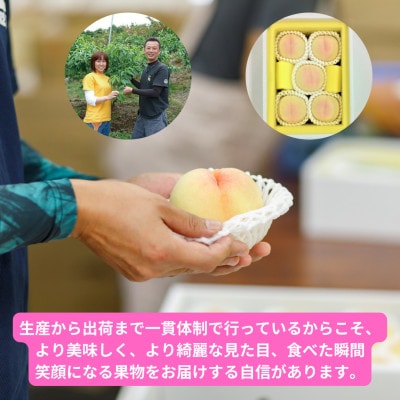 ã2026幎çºéã岡山çç£æž
æ°Žçœæ¡ã5çã»çŽ1.3kgãé
éäžå¯å°åïŒé¢å³¶ãã1614351ã