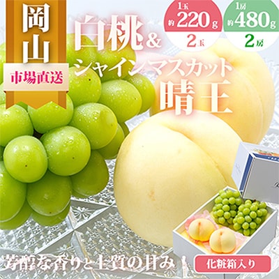 【先行受付】岡山県産　詰合せ/白桃とシャインマスカット『晴王』 化粧箱入り【配送不可地域：離島・北海道・沖縄県】【1281366】