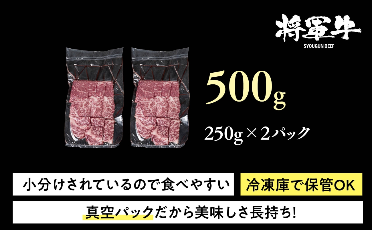 【将軍牛】特選焼肉セット ロース カルビ もも 3種類 500g【配送不可地域：離島・北海道・沖縄県】【1652110】