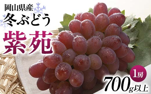 ◆先行受付◆ 岡山県産 冬ぶどう「紫苑」 2025年発送 ぶどう 果物 岡山県 TY0-0970