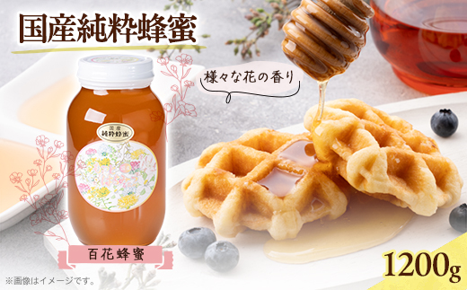 津山市産 百花蜂蜜　1200g【1605223】