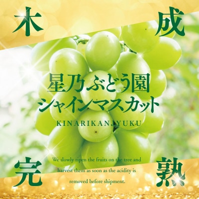 蜈郁。悟女莉倥蝉ク峨▽譏溘カ縺ゥ縺縲第弌荵繧キ繝」繧、繝ウ繝槭せ繧ォ繝繝 (3謌ソ縲4謌ソ 1.8kg莉・荳) 蟯。螻ア逵檎肇縲宣埼∽ク榊庄蝨ー蝓滂シ夐屬蟲カ繝サ蛹玲オキ驕薙サ豐也ク逵後代1746009縲