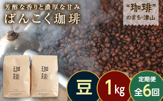 【毎月定期便】芳醇な香りと濃厚な甘みの珈琲 計1kg豆×全6回 飲料 コーヒー コーヒー豆 TY0-0866