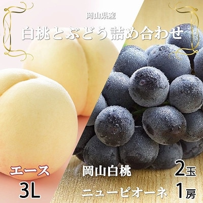 【先行受付】岡山県産　岡山白桃エース3Lサイズ300g×2玉・ニューピオーネ600g×1房　詰合せ【配送不可地域：離島・北海道・沖縄県】【1309116】