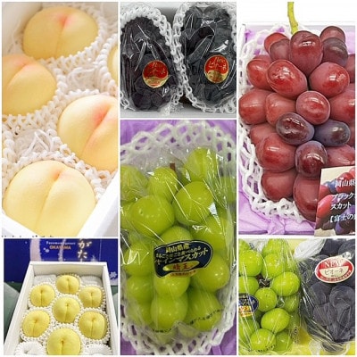 ãçºéæåºå®å®æäŸ¿ã岡山çç£ ãã«ãŒãå®æäŸ¿å
š6åãé
éäžå¯å°åïŒé¢å³¶ã»åæµ·éã»æ²çžçãã4077021ã