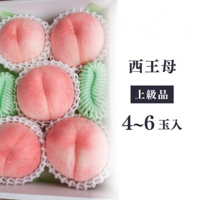 【2026年先行予約】女神の名を持つ希少な晩生桃、西王母(上級品)4-6玉入(岡山県産)【配送不可地域：離島】【1696629】