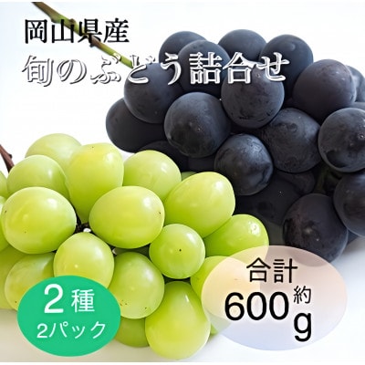 【2025年9月より順次発送】岡山県産 旬のぶどう詰合せ 2種2パックセット【配送不可地域：離島】【1575457】