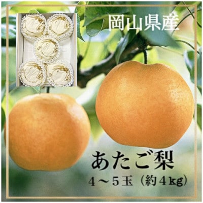 岡山県産　あたご梨 4〜5玉 (約4kg) 化粧箱入り【配送不可地域：離島・北海道・沖縄県】【1448239】