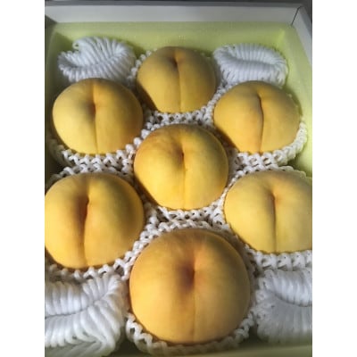 【2026年先行予約】8月上旬頃より発送予定・岡山県産・マンゴーの様な黄色い桃・黄金桃(2kg箱)【配送不可地域：離島】【1484604】