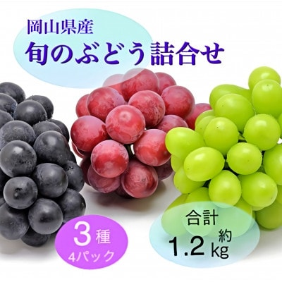 【2025年9月より順次発送】岡山県産 旬のぶどう詰合せ 3種4パックセット【配送不可地域：離島】【1575462】