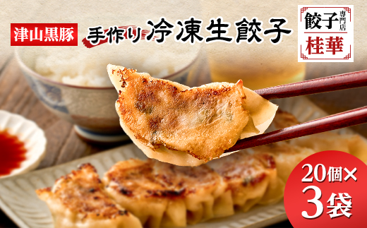 津山黒豚手作り冷凍生餃子(60個セット)【配送不可地域：離島】【1339814】