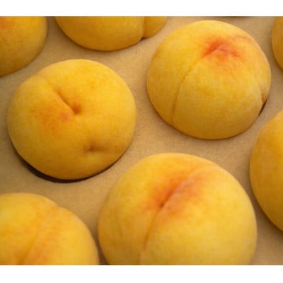 【先行受付|8月下旬頃より順次発送】岡山県産『黄金桃』　約1kg(3〜4玉)【配送不可地域：離島・北海道・沖縄県】【1726916】