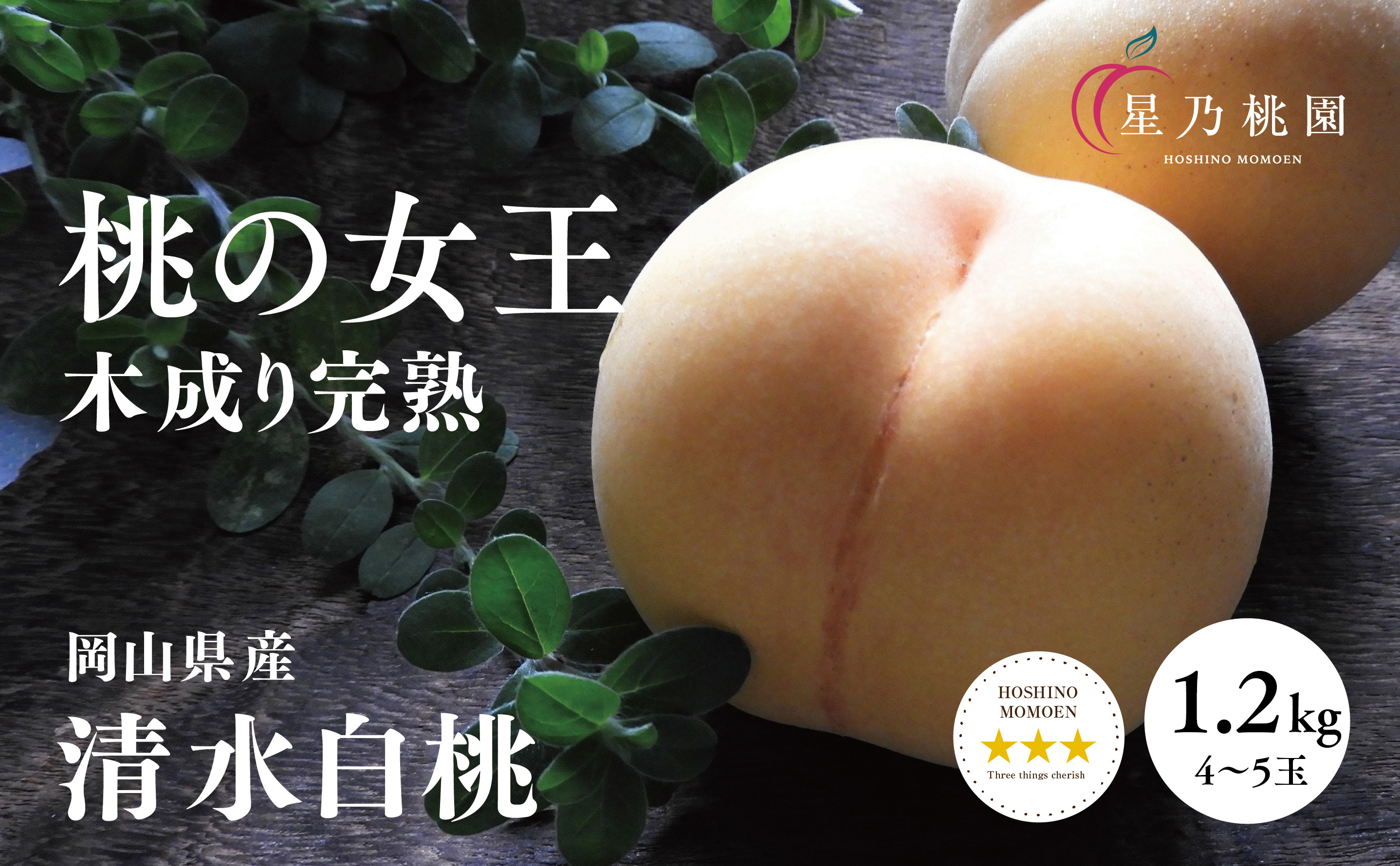 先行受付【清水白桃】岡山県産 三つ星 星乃桃園 1.2kg (4〜5玉)【配送不可地域：離島・北海道・沖縄県】【1614283】
