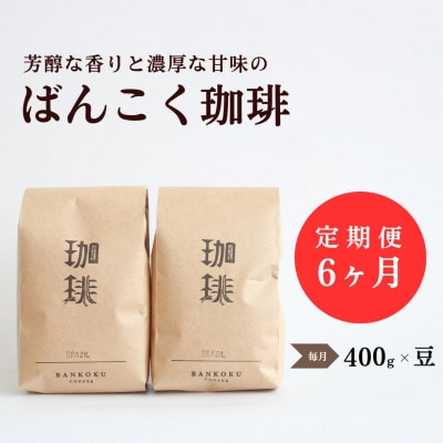 【毎月定期便】芳醇な香りと濃厚な甘味の珈琲 計400g豆×全6回【4054535】