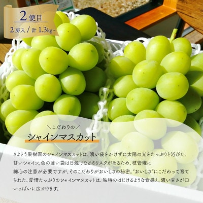 【発送月固定定期便】藤稔とシャインマスカットの満足2回便! 各大2房入/1.3kg(岡山県産)全2回【配送不可地域：離島】【4066248】