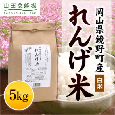 岡山県産　れんげ米(5kg入)(26552)【1030490】